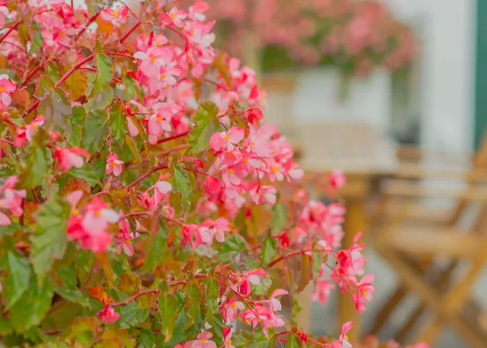 Vendégház Comercial Boutique