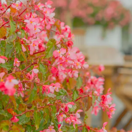 Guest house Comercial Boutique Guest House