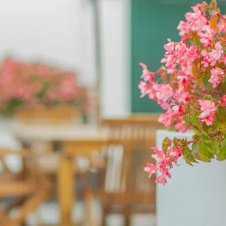 Comercial Boutique Guest House 3* Понта-Делгада
