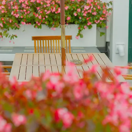 Comercial Boutique Guest House Ponta Delgada (Sao Miguel)