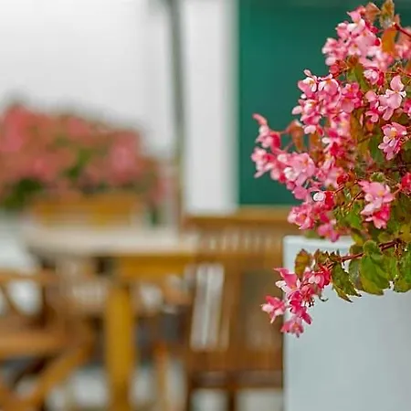 Casa de hóspedes Comercial Boutique Ponta Delgada