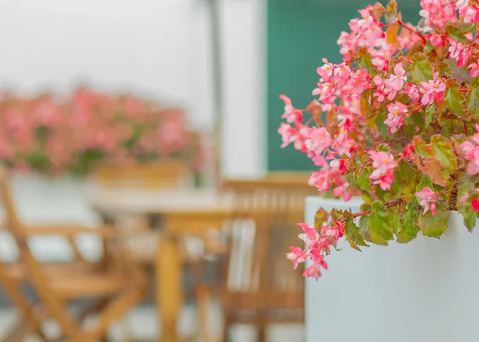 Comercial Boutique 3* Πόντα Ντελγκάντα